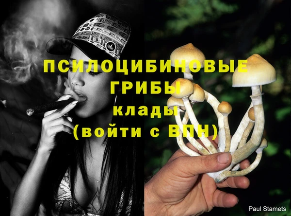 марки nbome Тавда