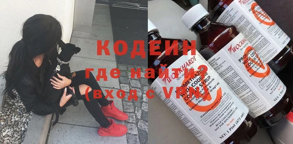 дмт Горняк