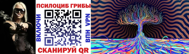 Псилоцибиновые грибы прущие грибы  ОМГ ОМГ   Ивантеевка 