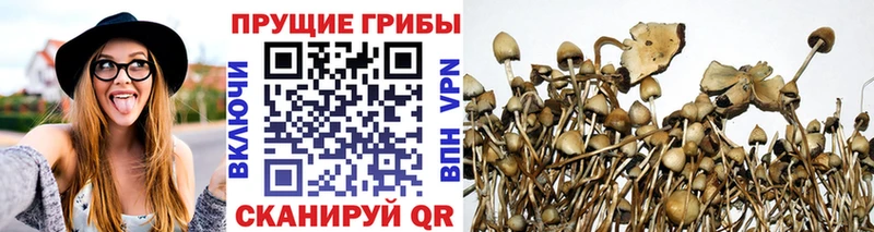 Галлюциногенные грибы Cubensis Ивантеевка